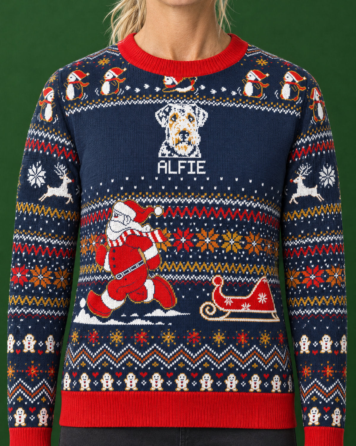 Custom Pet Knitted Holiday Sweater - Santa's Sleigh Blue