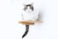 Load image into Gallery viewer, Cat Climbing Shelf
