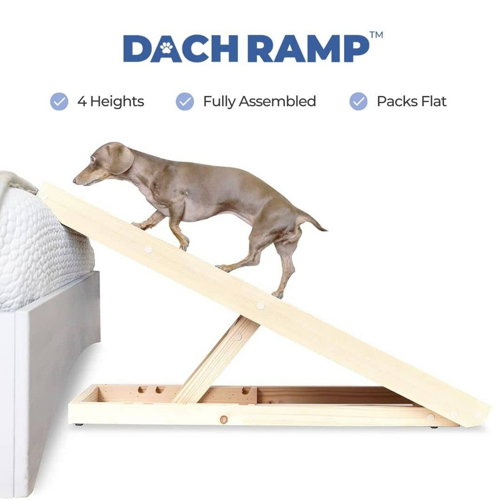 Alpha Ramp Dog Ramps for Dachshunds | DachRamp™ by Alpha Paw