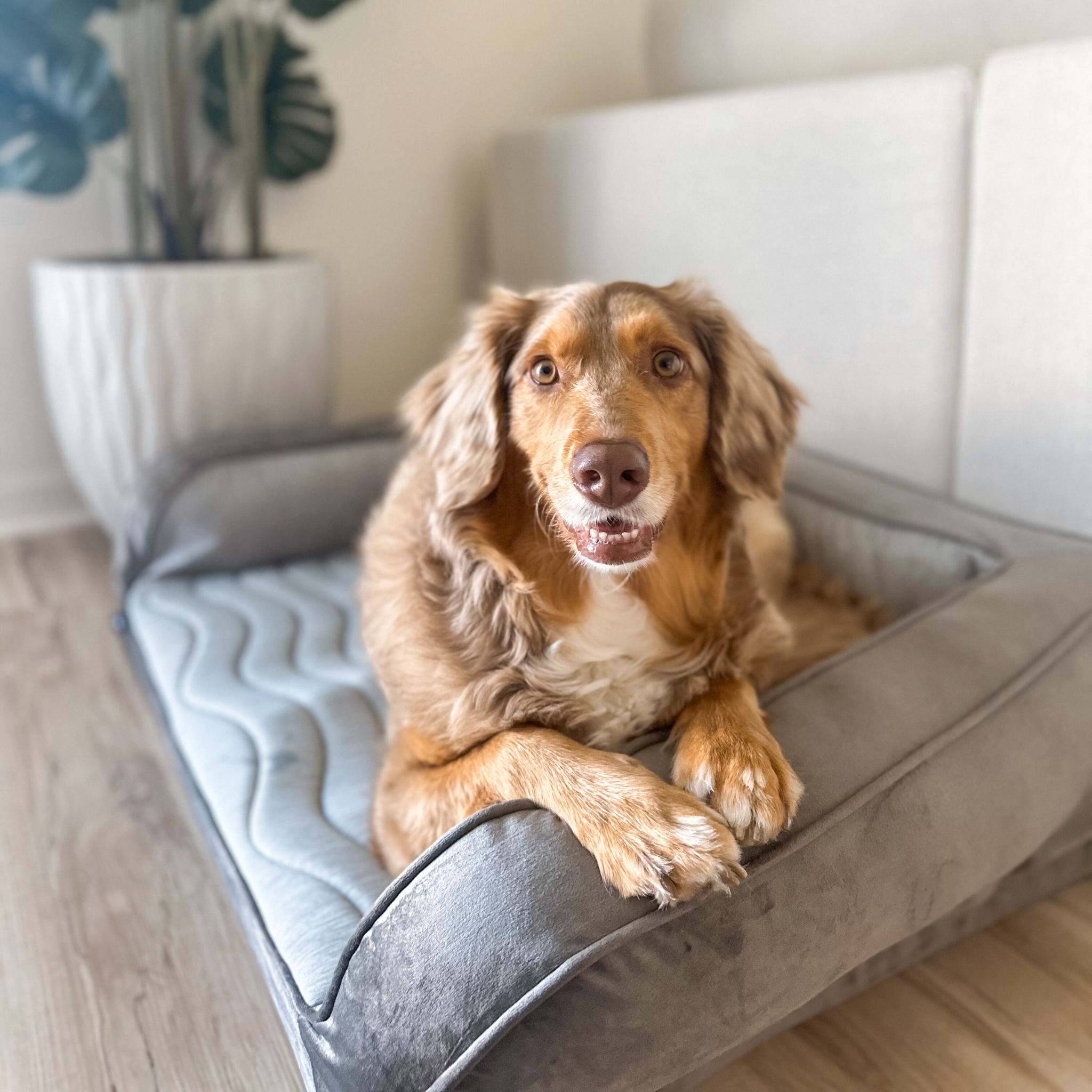 PupChill™ Cooling Bolster Dog Bed