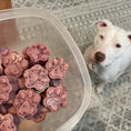 Load image into Gallery viewer, BoneItUp® Homemade Dog Treats Kit
