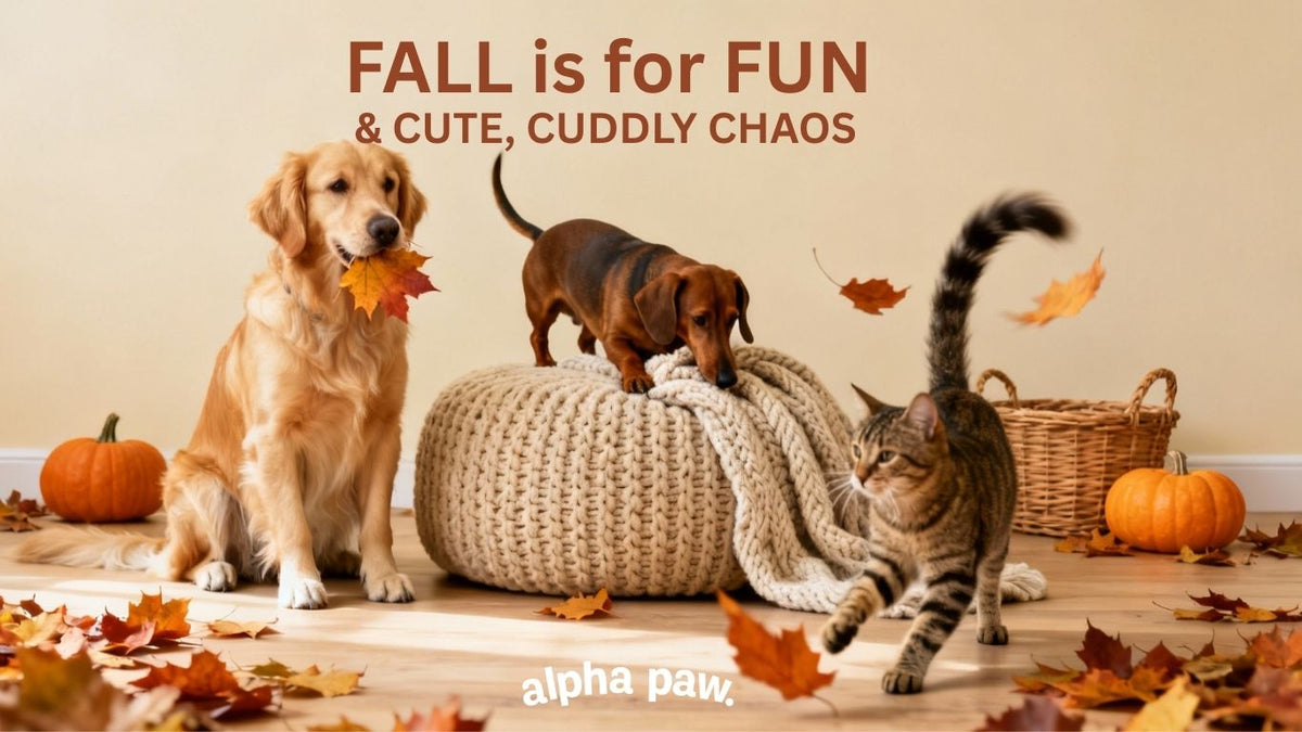 Pets In The Fall Cozy, Cuddle Fall Pets – Alpha Paw
