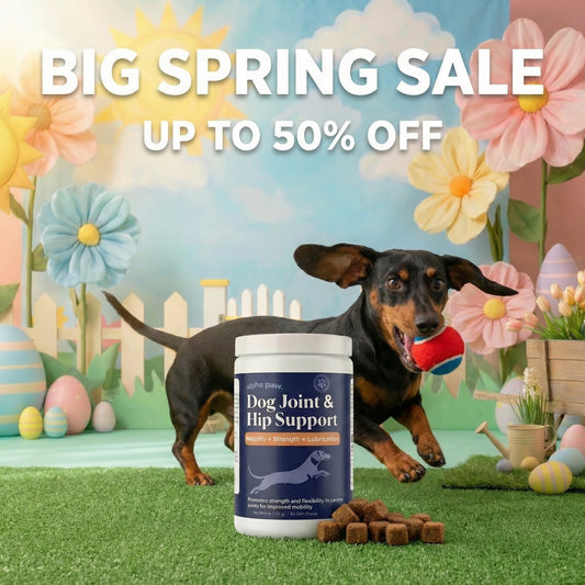 Dog Joint & Hip Support