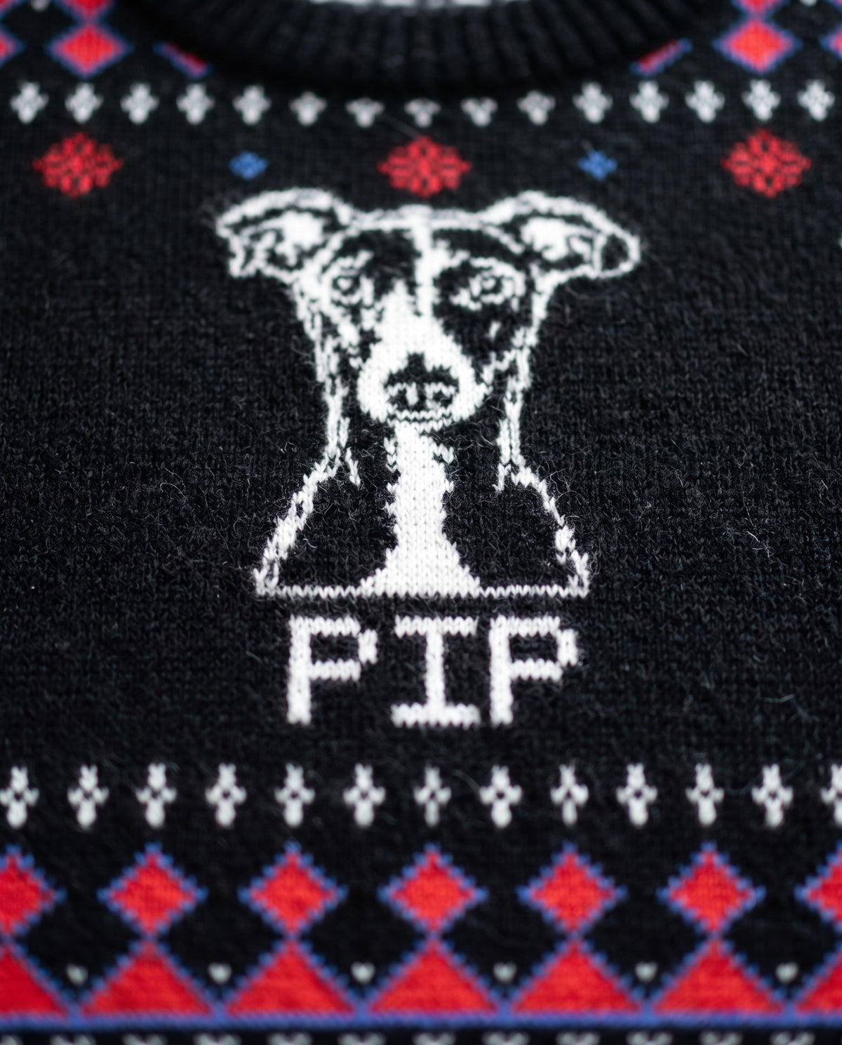 Custom Pet Knitted Holiday Sweater - Night Before Christmas | Alpha Paw