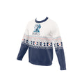 Load image into Gallery viewer, Custom Pet Knitted Holiday Sweater - Arctic Dream Blue | Alpha Paw
