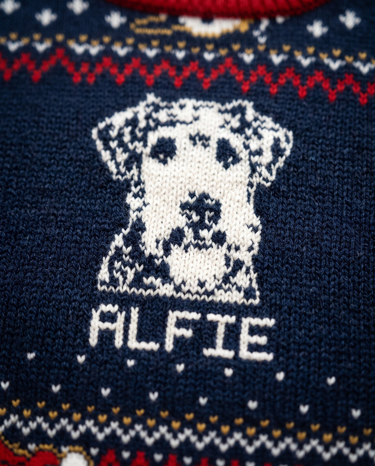 Custom Pet Knitted Holiday Sweater - Santa's Sleigh Blue | Alpha Paw