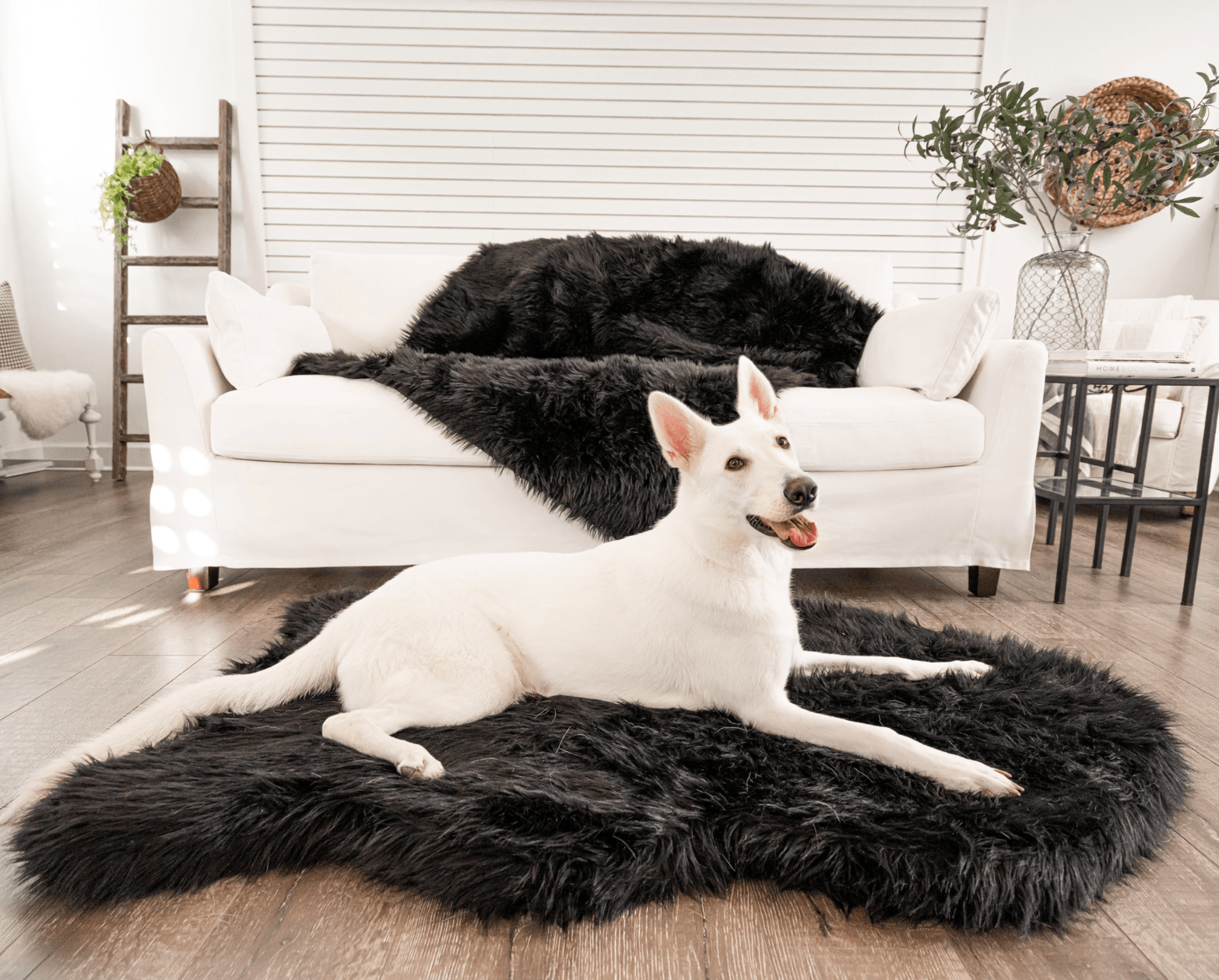 PupRug™ Faux Fur Orthopedic Dog Bed - Curve Midnight Black