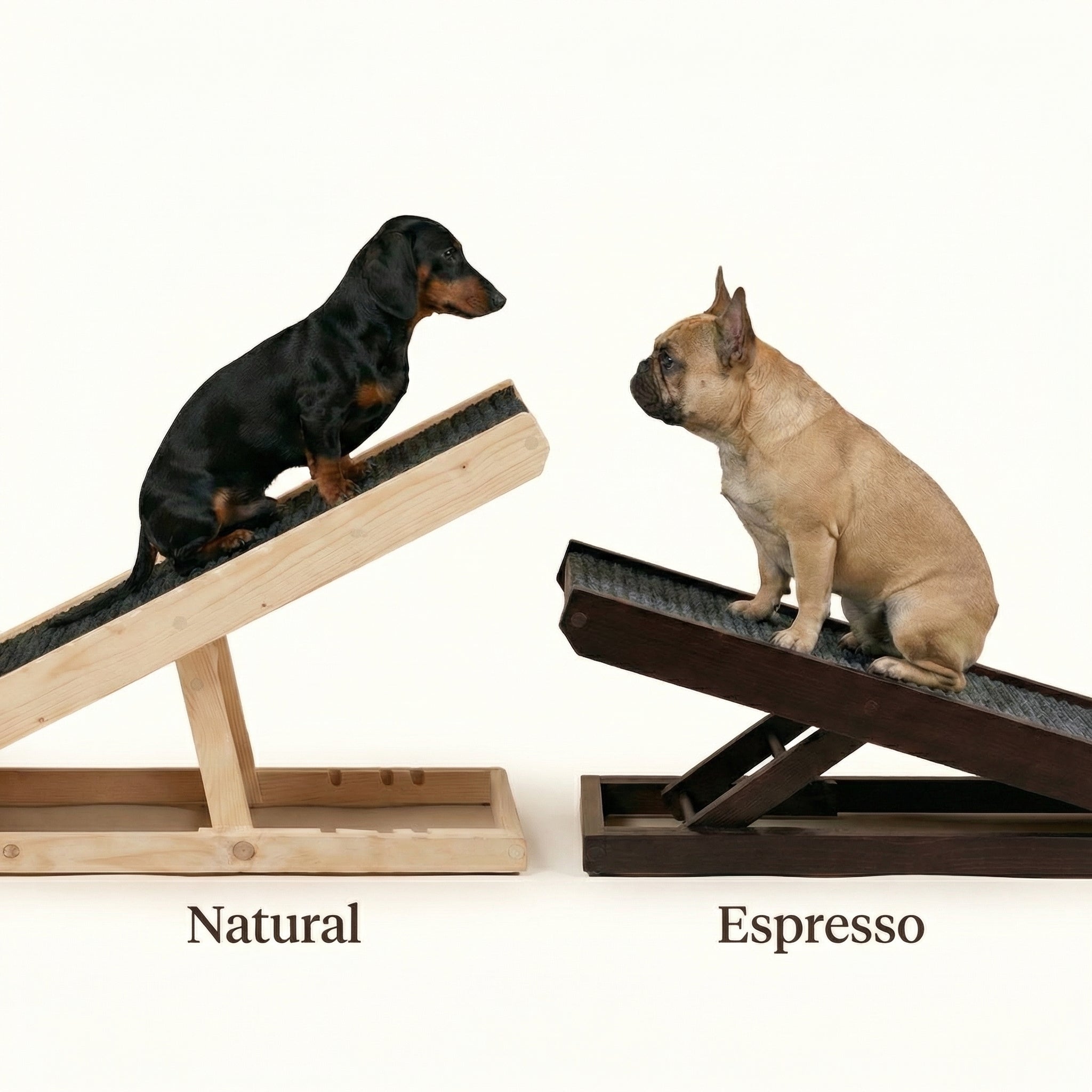 PawRamp – The #1 Vet-Recommended Way to Protect Your Dog’s Back & Joints