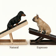PawRamp – The #1 Vet-Recommended Way to Protect Your Dog’s Back & Joints