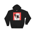 Load image into Gallery viewer, Men's / Women's Hoodie | Alpha Paw
