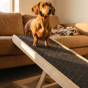 Dachshund Ramp for Couch