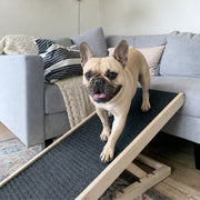 Dog Ramp for Couch