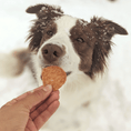 Load image into Gallery viewer, Holiday Chips for Dogs
