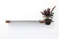 Load image into Gallery viewer, Cat Hammock Wall with Planter
