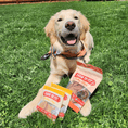 Load image into Gallery viewer, Puppy Packs 'N Snacks Dog Treat Starter
