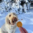 Load image into Gallery viewer, Snack Stuffers Mini Dog Treat Bags
