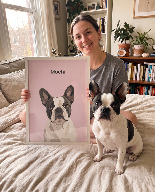 Pied French bulldog as a framed modern pet portrait