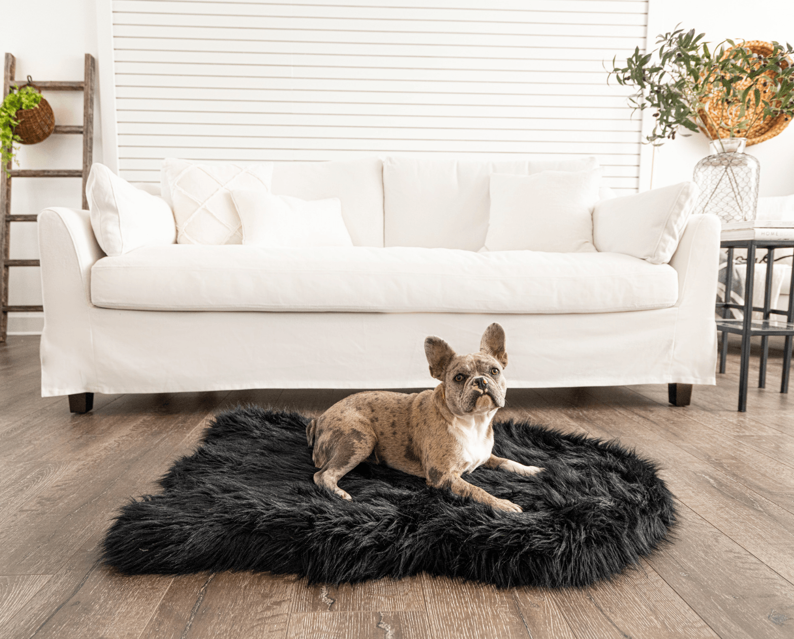 PupRug™ Faux Fur Orthopedic Dog Bed - Curve Midnight Black