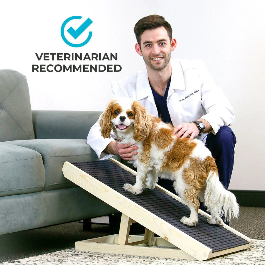Dog-Approved and Vet-Recommended