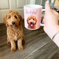 Red goldendoodle on a personalized pet coffee mug