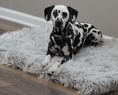 Load image into Gallery viewer, PupRug™ Faux Fur Orthopedic Dog Bed - Rectangle Grey

