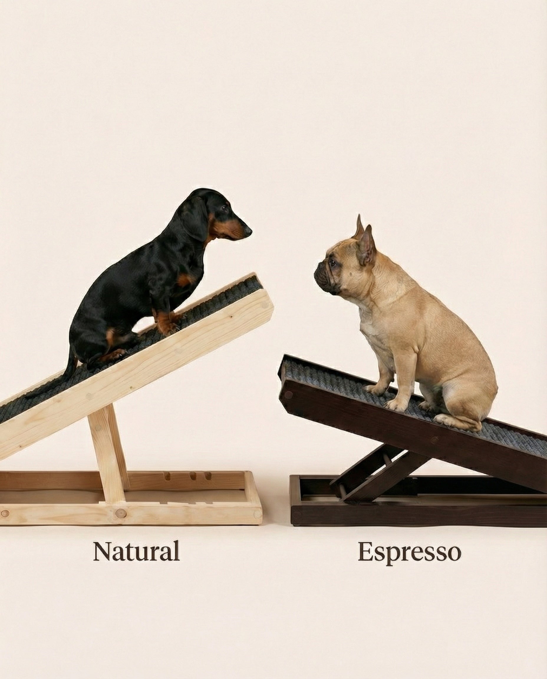 DachRamp™ - The #1 Vet-Recommended Way to Protect Your Dachshund's Back & Joints