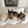 Load image into Gallery viewer, PupRug™ Faux Fur Orthopedic Dog Bed - Curve Polar White
