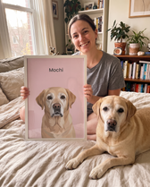 Senior yellow Labrador as a framed modern pet portrait