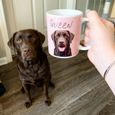 Chocolate Labrador on a personalized pet coffee mug