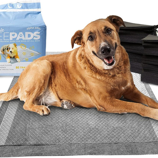 A large dog lying on a Magic Pee Pad XL