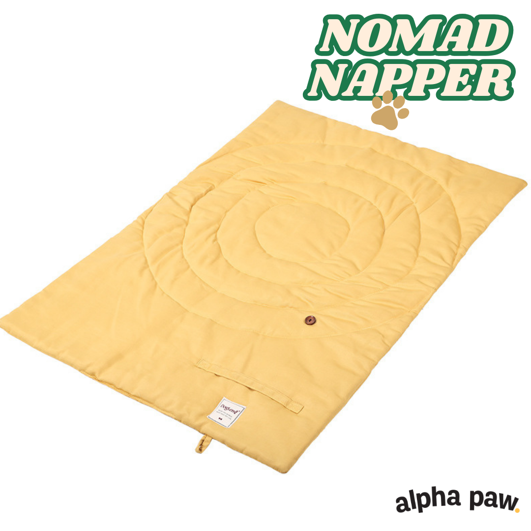 Nomad Napper: The Perfect Dog Travel Mat for Paws on the Go