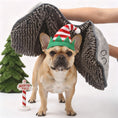 Load image into Gallery viewer, PawDry Pro - The Rainy Day Rescuer, Microfiber Pet Towel

