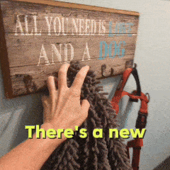 PawDry Pro - The Rainy Day Rescuer, Microfiber Pet Towel