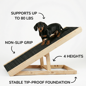 DachRamp™ - The #1 Vet-Recommended Way to Protect Your Dachshund's Back & Joints