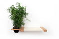Load image into Gallery viewer, Cat Hammock Wall with Planter
