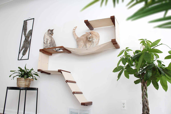 The Play - A Cat Play Wall System