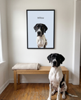 Load image into Gallery viewer, Custom Modern Pet Portrait | Alpha Paw
