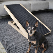 Senior Dog Ramp for Couch