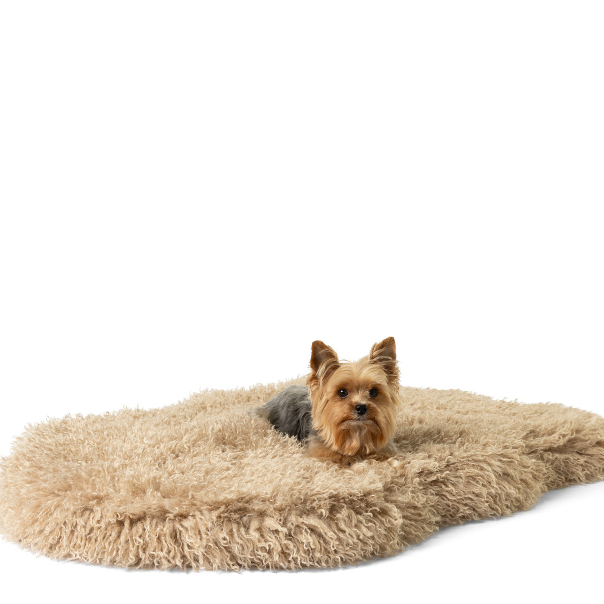 PupRug™ Luxe Faux Fur Orthopedic Dog Bed - Plush Sheep Tan – Alpha Paw