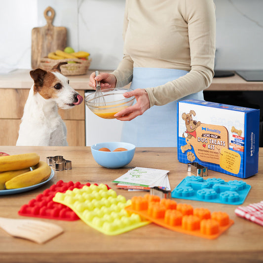 BoneItUp® Homemade Dog Treats Kit