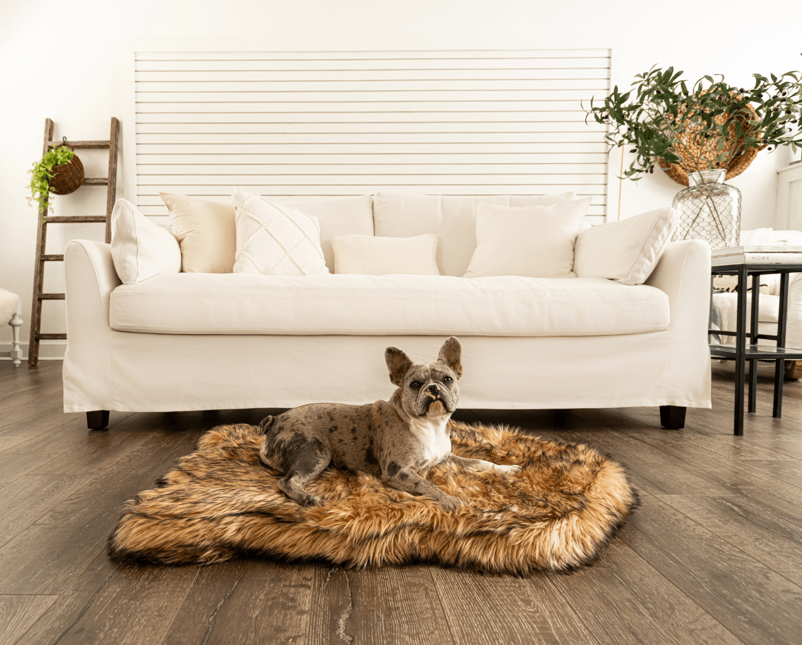 PupRug™ Faux Fur Orthopedic Dog Bed - Curve Sable Tan