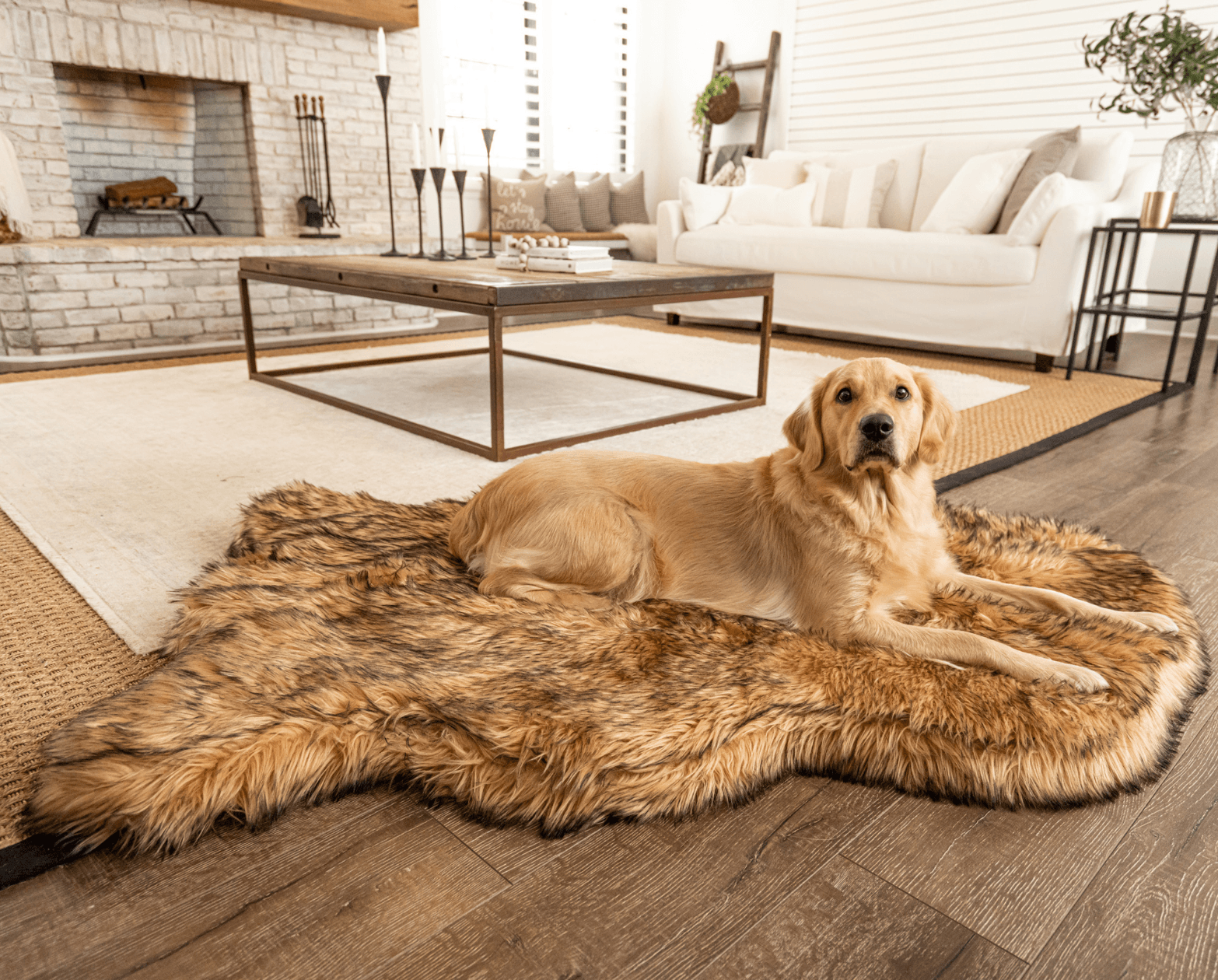 PupRug™ Faux Fur Orthopedic Dog Bed - Curve Sable Tan