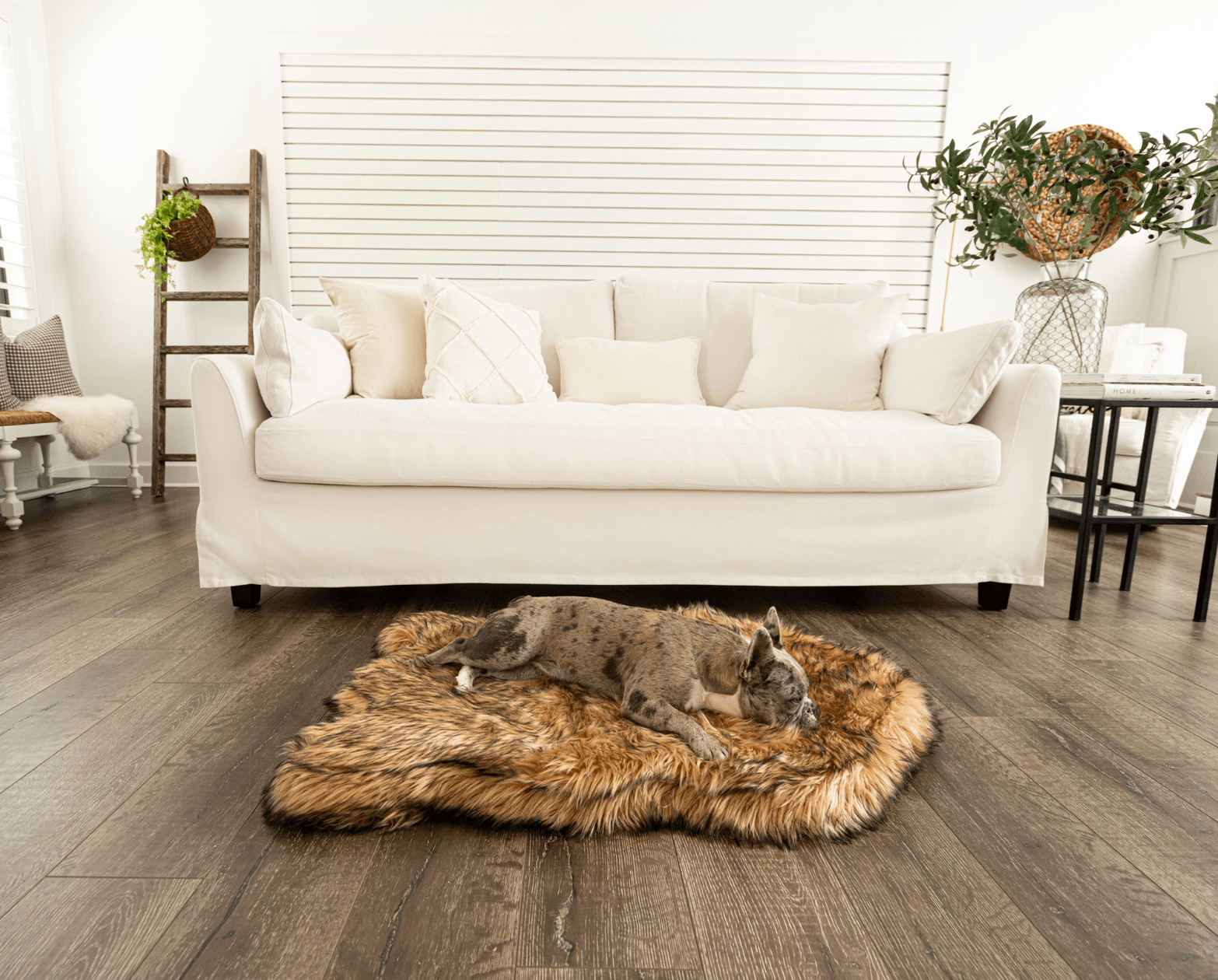 PupRug™ Faux Fur Orthopedic Dog Bed - Curve Sable Tan