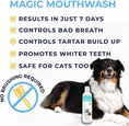 Load image into Gallery viewer, Magic Mouthwash™ For Dogs | Alpha Paw
