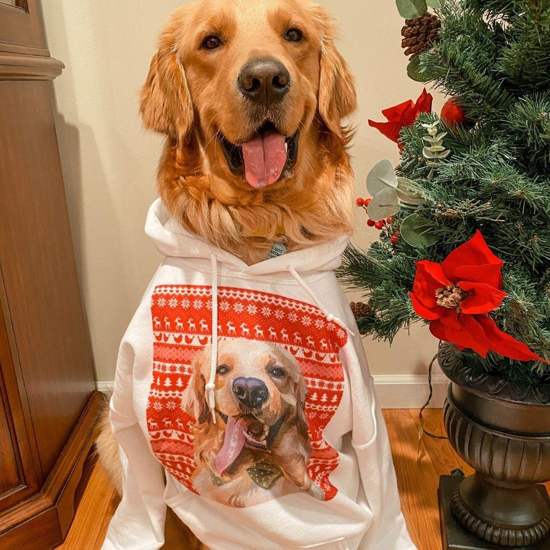 Custom Pet Hoodie (White) | Alpha Paw