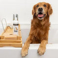 Load image into Gallery viewer, Allergy Itch Relief Shampoo | Alpha Paw
