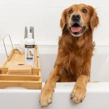 Load image into Gallery viewer, Allergy Itch Relief Shampoo | Alpha Paw
