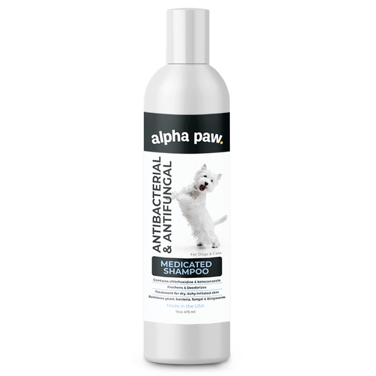 Antibacterial & Antifungal Medicated Shampoo | Alpha Paw