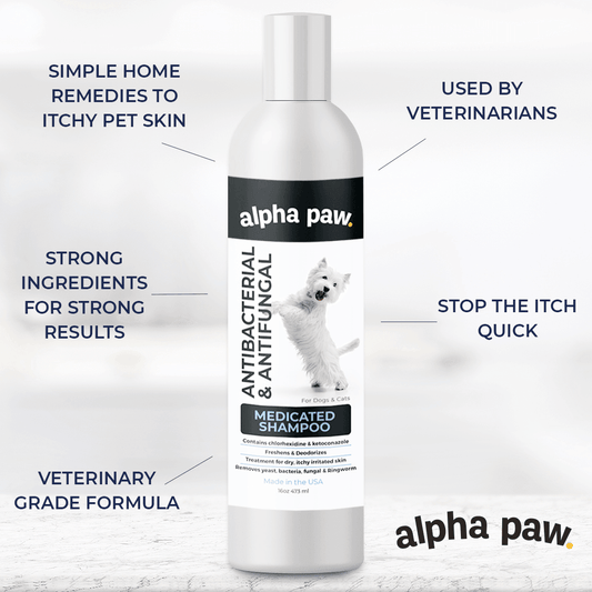 Antibacterial & Antifungal Medicated Shampoo | Alpha Paw