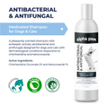 Load image into Gallery viewer, Antibacterial & Antifungal Medicated Shampoo | Alpha Paw

